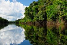 Amazon River Landscape in Brazil-rchphoto-Photographic Print