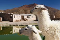 Bolivia, the Most Beautifull Andes in South America-rchphoto-Framed Premier Image Canvas