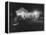 Re: Charles Starkweather-Lincoln, Nebraska Slayings-Francis Miller-Framed Premier Image Canvas