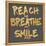 Reach, Breathe, Smile-SD Graphics Studio-Framed Stretched Canvas