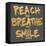 Reach, Breathe, Smile-SD Graphics Studio-Framed Stretched Canvas