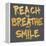 Reach, Breathe, Smile-SD Graphics Studio-Framed Stretched Canvas