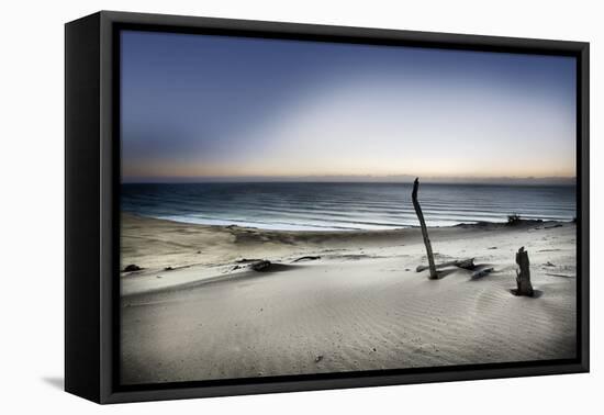 Reach for the Sun-Mel Brackstone-Framed Premier Image Canvas