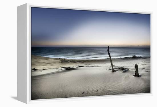 Reach for the Sun-Mel Brackstone-Framed Premier Image Canvas