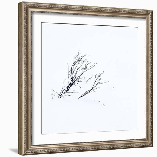 Reachiing-Doug Chinnery-Framed Photographic Print