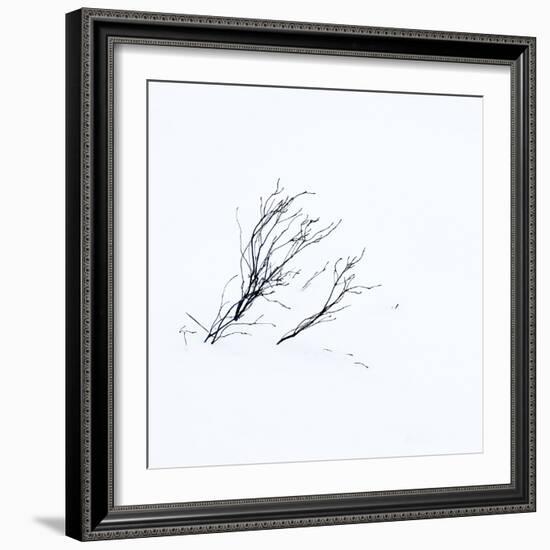 Reachiing-Doug Chinnery-Framed Photographic Print