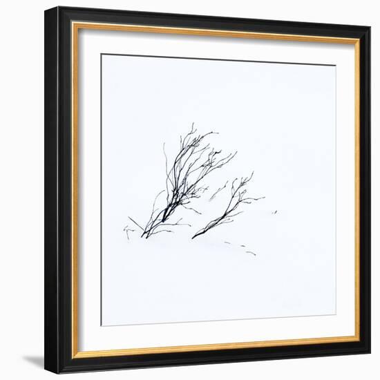 Reachiing-Doug Chinnery-Framed Photographic Print