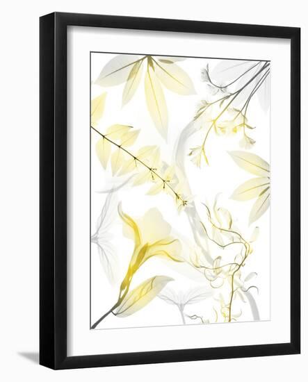 Reaching Brightness 1-Albert Koetsier-Framed Photographic Print