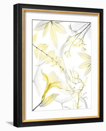 Reaching Brightness 1-Albert Koetsier-Framed Photographic Print