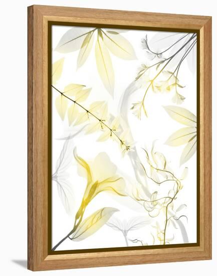 Reaching Brightness 1-Albert Koetsier-Framed Premier Image Canvas