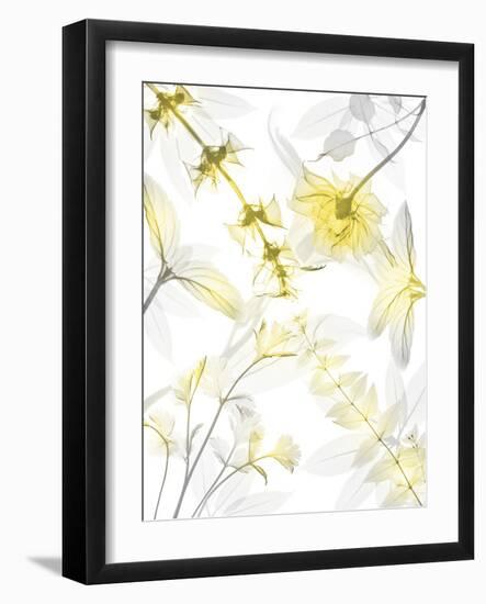 Reaching Brightness 2-Albert Koetsier-Framed Photographic Print