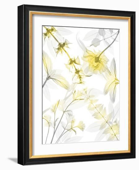 Reaching Brightness 2-Albert Koetsier-Framed Photographic Print