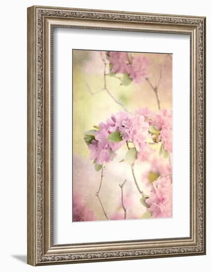 Reaching for the Sky I-Judy Stalus-Framed Photographic Print