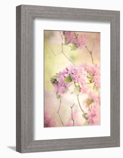 Reaching for the Sky I-Judy Stalus-Framed Photographic Print