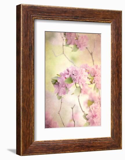 Reaching for the Sky I-Judy Stalus-Framed Photographic Print