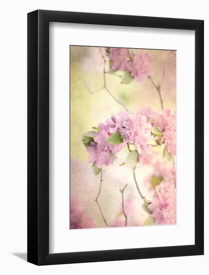 Reaching for the Sky I-Judy Stalus-Framed Photographic Print