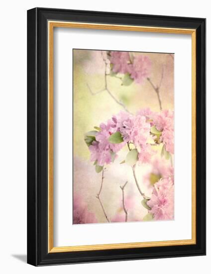 Reaching for the Sky I-Judy Stalus-Framed Photographic Print