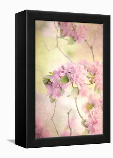 Reaching for the Sky I-Judy Stalus-Framed Premier Image Canvas