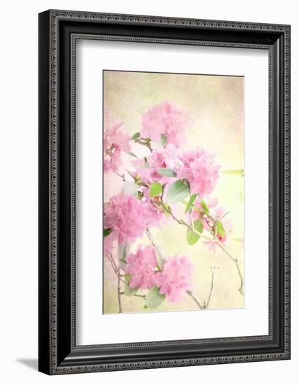 Reaching for the Sky II-Judy Stalus-Framed Photographic Print