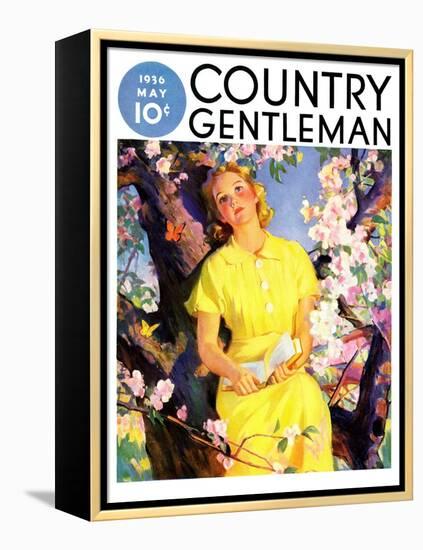 "Reading Among the Blossoms," Country Gentleman Cover, May 1, 1936-null-Framed Premier Image Canvas