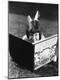 Premium Photographic Print