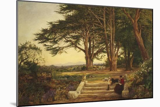 Reading on the Terrace Steps-Benjamin Williams Leader-Mounted Giclee Print