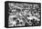 Reading Pop Festival, 1971-David White-Framed Premier Image Canvas