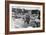 Reading Pop Festival, 1971-Kent Gavin-Framed Photographic Print