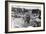 Reading Pop Festival, 1971-Kent Gavin-Framed Photographic Print