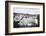 Reading Pop Festival, 1971-David White-Framed Photographic Print