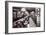 Reading Room on the Ocean Liner 'Ile De France', 1926 (B/W Photo)-French Photographer-Framed Giclee Print