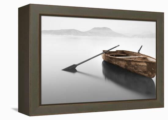 Ready 2-Brown-Moises Levy-Framed Premier Image Canvas