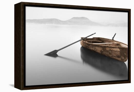 Ready 2-Brown-Moises Levy-Framed Premier Image Canvas