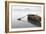 Ready 2-Brown-Moises Levy-Framed Photographic Print