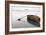 Ready 2-Brown-Moises Levy-Framed Photographic Print