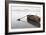 Ready 2-Brown-Moises Levy-Framed Photographic Print