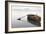 Ready 2-Brown-Moises Levy-Framed Photographic Print