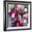 Ready for Christmas-Incredi-Framed Photographic Print