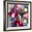 Ready for Christmas-Incredi-Framed Photographic Print