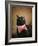 Ready for Dinner-Jai Johnson-Framed Giclee Print