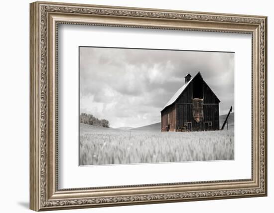 Ready for Harvest-Danita Delimont-Framed Photo