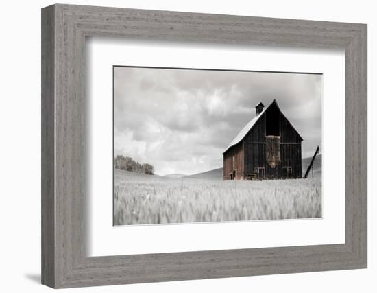 Ready for Harvest-Danita Delimont-Framed Photo