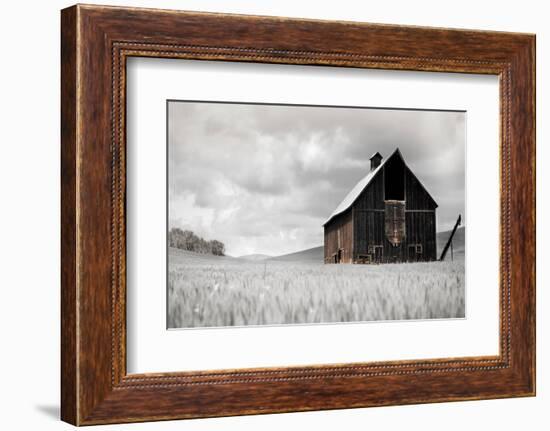 Ready for Harvest-Danita Delimont-Framed Photo