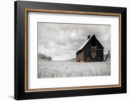 Ready for Harvest-Danita Delimont-Framed Photo