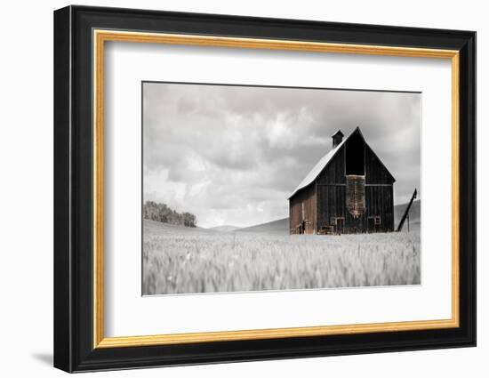 Ready for Harvest-Danita Delimont-Framed Photo