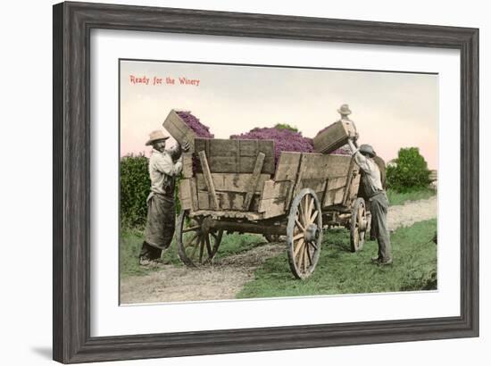Ready for the Winery, Grape Harvest-null-Framed Art Print