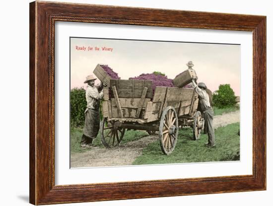 Ready for the Winery, Grape Harvest-null-Framed Art Print