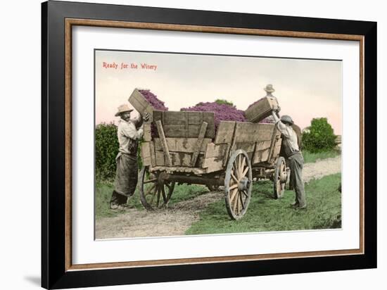 Ready for the Winery, Grape Harvest-null-Framed Art Print