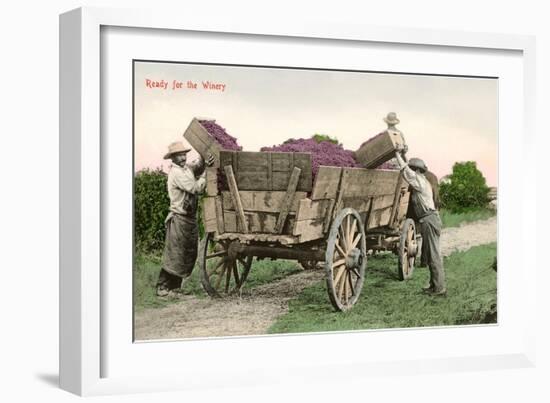 Ready for the Winery, Grape Harvest-null-Framed Art Print