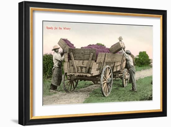 Ready for the Winery, Grape Harvest-null-Framed Art Print